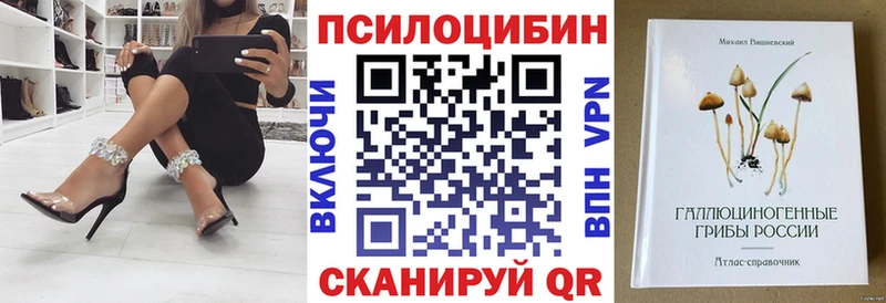 сколько стоит  Алушта  Псилоцибиновые грибы Psilocybine cubensis 